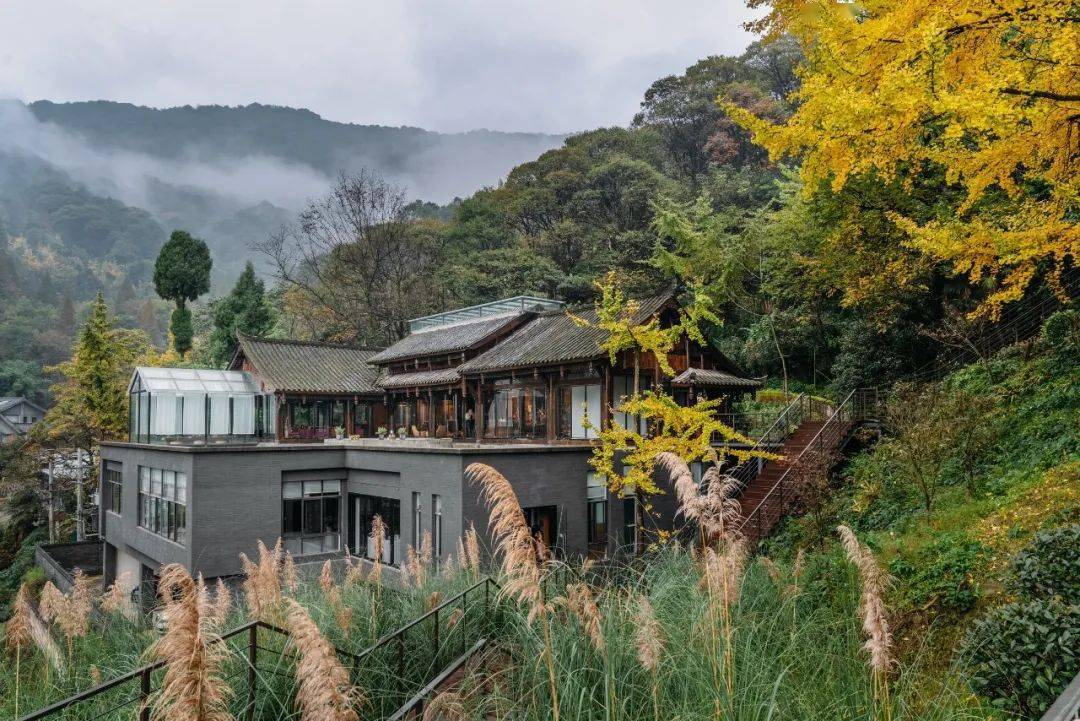 山景|在都江堰过年 | 到青城山看花海、住民宿、泡温泉，速度安排！