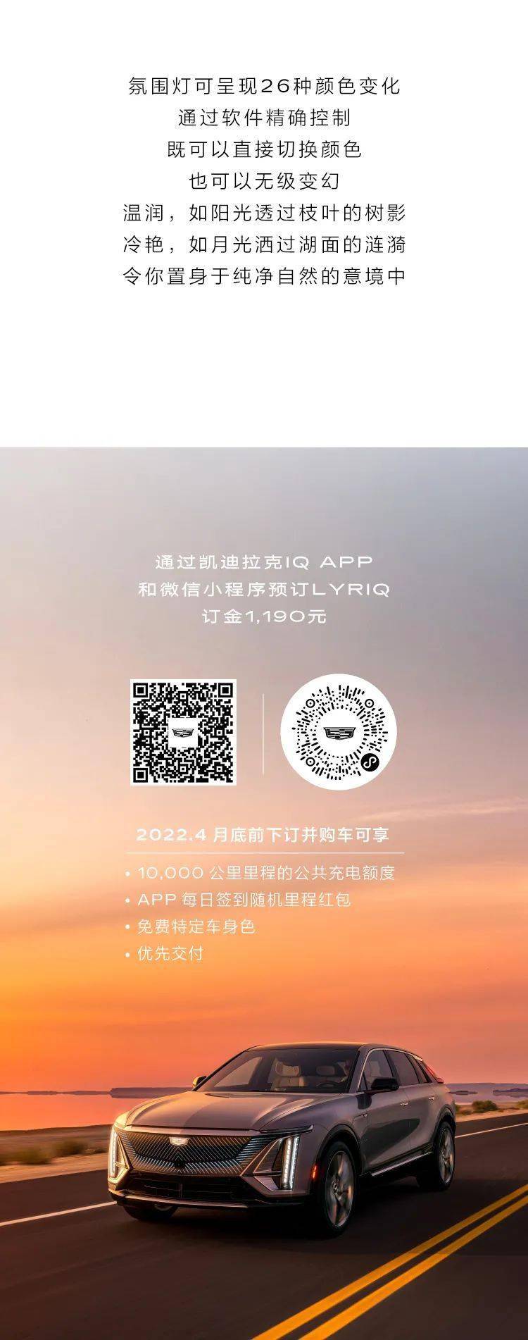 身影,身影|你总会惊叹于树的身影，叶的摇曳