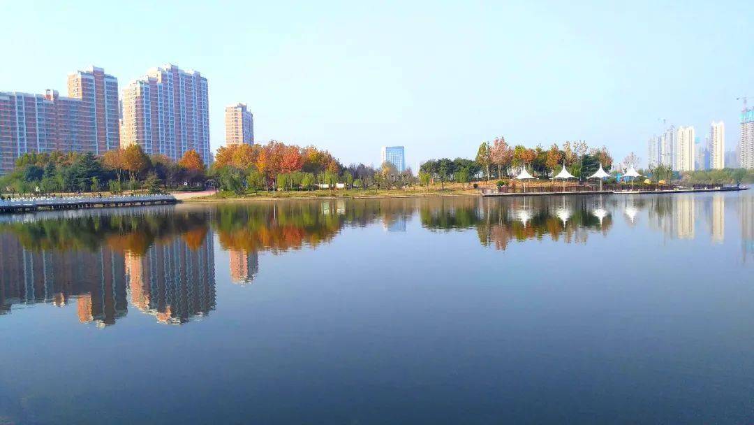 這個春節,留在菏澤過年吧!_牡丹區_書房_公園