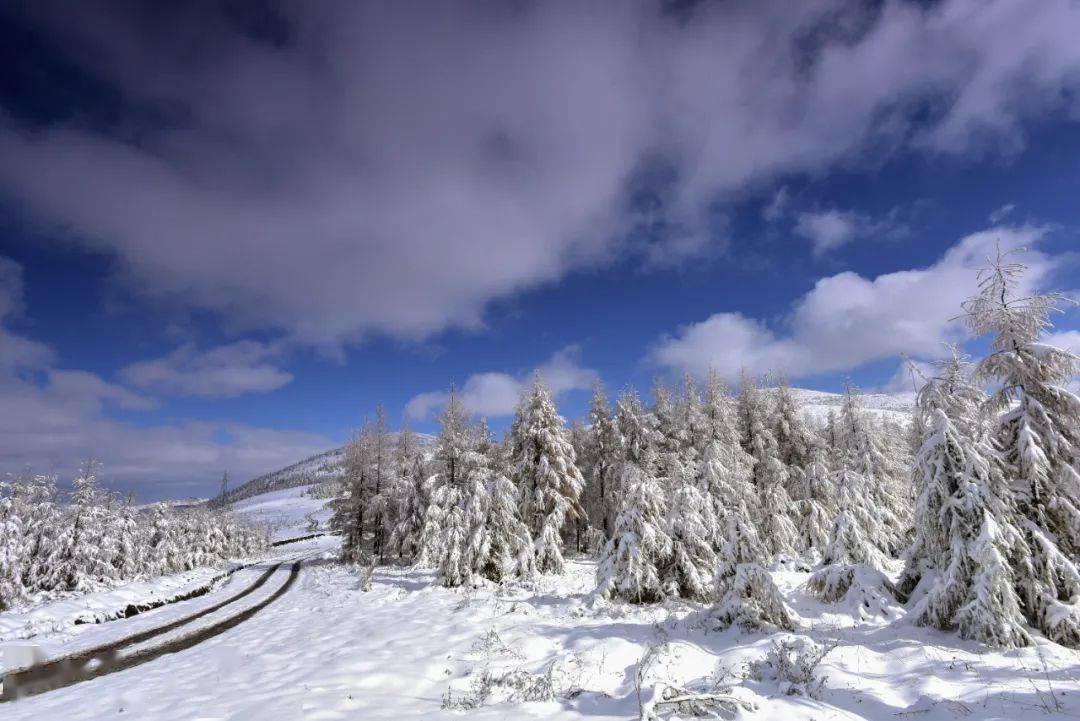 万龙|重磅！崇礼入选“国字号”滑雪旅游度假地！