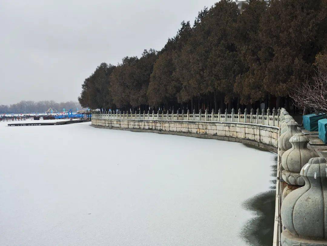 牛铭乾|错过这波，只能明年再见！