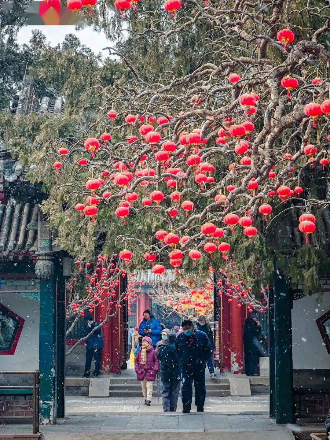 牛铭乾|错过这波，只能明年再见！