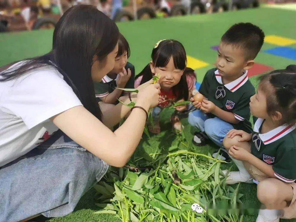 活动|费县费城街道中心幼儿园 | 实干笃行，匠心向阳