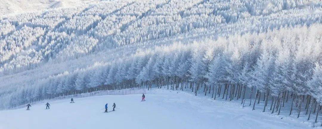 万龙|重磅！崇礼入选“国字号”滑雪旅游度假地！