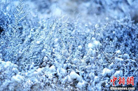 雪景|雪落甘肃榆中 “云山一体”乡村似从画中来