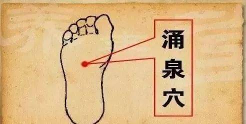 ab8b3e132a0544c2bad8f613b79ce850.jpeg