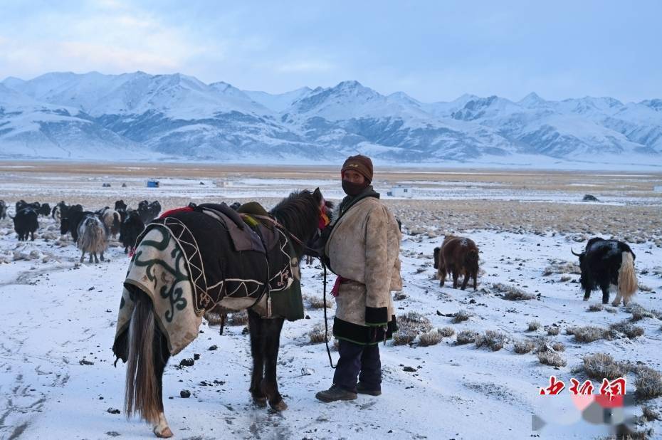 1月27日,当雄县龙仁乡乌达村牧民在雪中放牧.