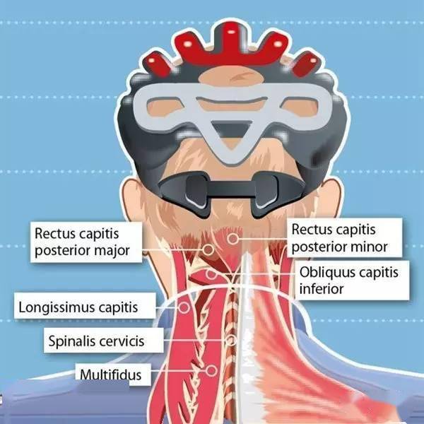 角度|如何正确预防并缓解，骑车造成的颈椎痛疼