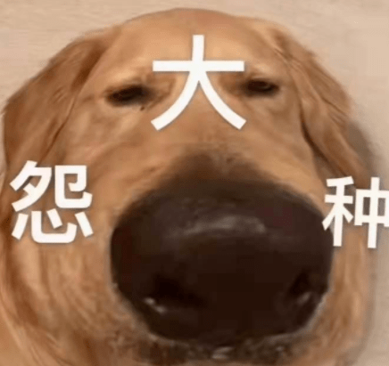 千金那个砸4300万进斯坦福的富二代妹子, 准备进军时尚圈了？！