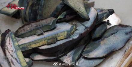 疗法|致幻蘑菇有望成抗抑郁速效药