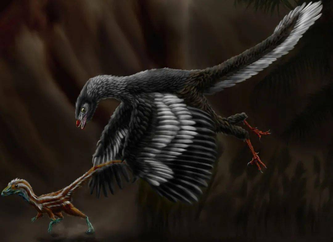 【科普】始祖鸟：侏罗纪飞向蓝天的号角---“万鸟之祖”？ - 哔哩哔哩