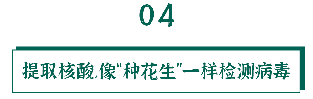 检测|核酸的检测有多麻烦？看完我都不好意思催结果了