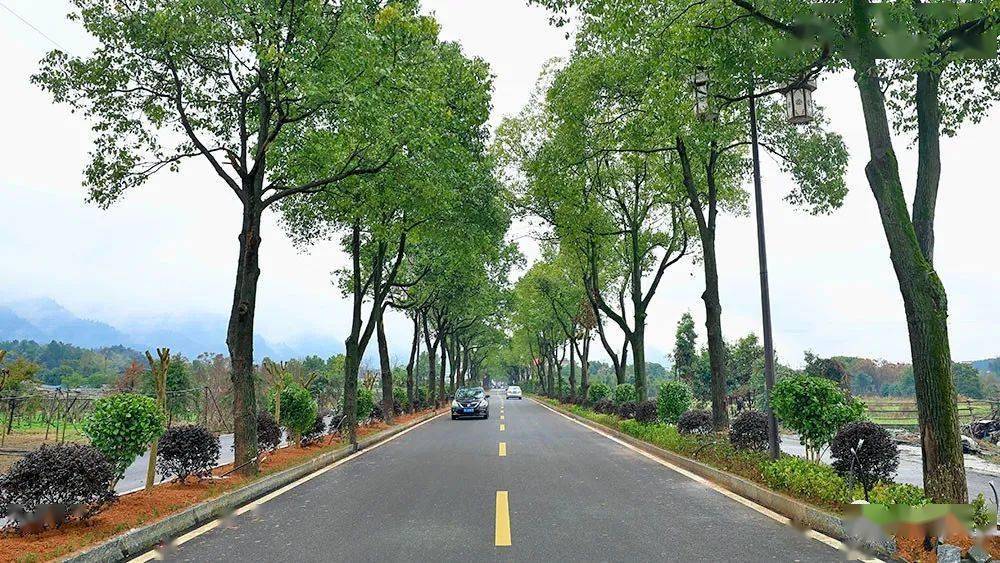 云溪路建成通车_武冈_乡村_项目