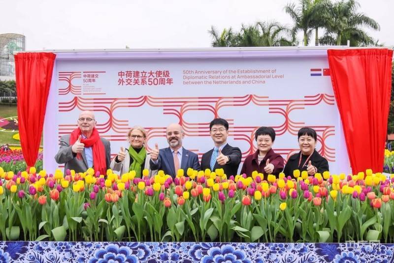 展览|【图集】荷兰主题沉浸式花艺装置在广州揭幕