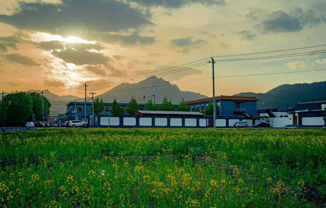 调研组一行来到桥梓镇口头村