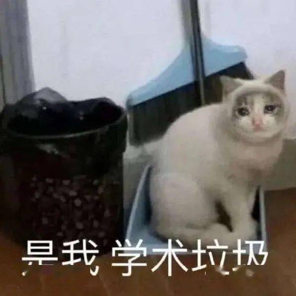 2b535316338742cd936c16c9583b0701.jpeg