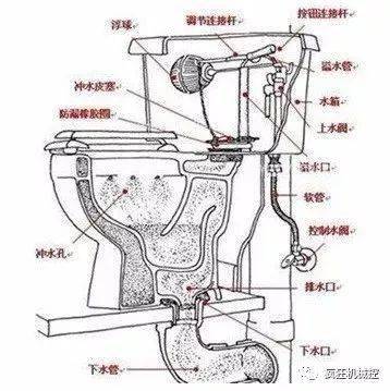 坐便器的原理透视图图片