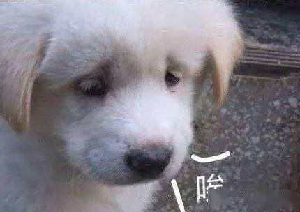 无辜为啥生娃5年的奶茶妹妹比热巴还嫩？