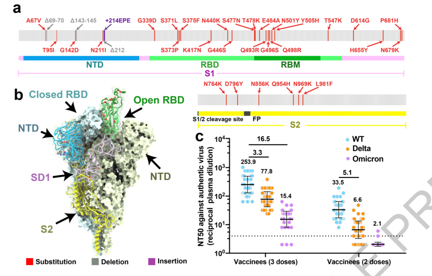 灭活疫苗对奥密克戎效果如何？通用疫苗有何策略？中国团队《自然》发文