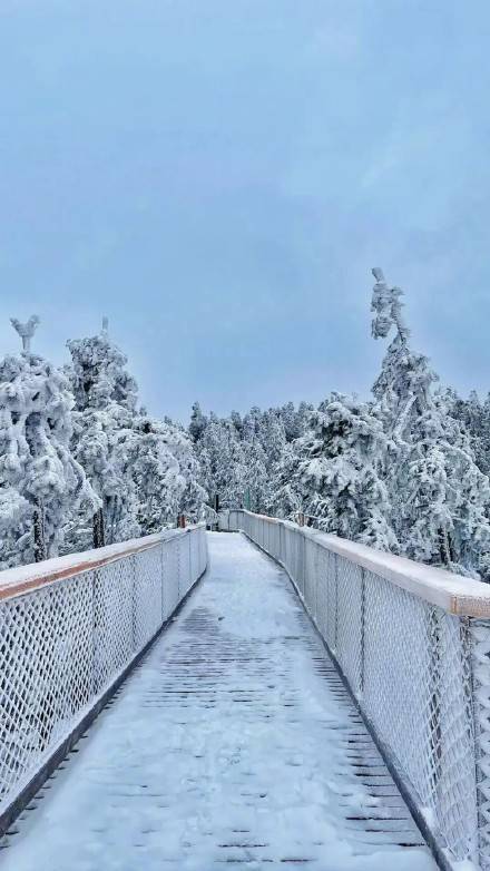 艺术|虎年新春武隆游，玩雪赏景好安逸！