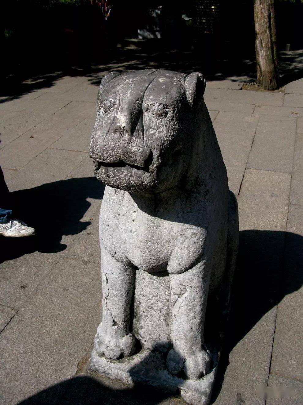 虎年赏虎第九弹石虎篇养浩气铭历史