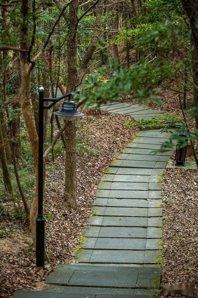 在長崗山森林公園能夠遍覽定海城區的美好風光,見證山,海,城的完美相