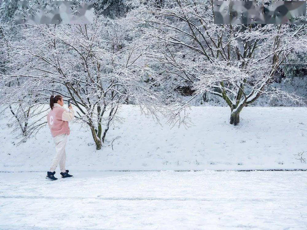 男子|宁波男子晒四明山雪景引网友称赞：银装素裹，漂亮极了！