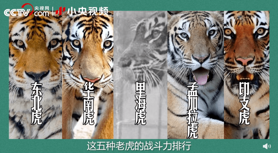 1862a2932af347e7a13f64ae9e270b41.png