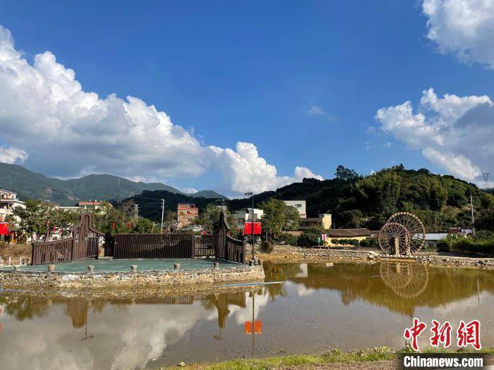 廣州百年客家古村飛出鳳凰雞_鳳二村_從化_養殖