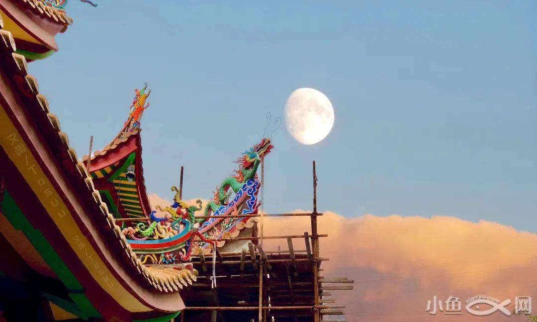 厦门|再冷下雨天，也挡不住厦门人拜拜！南普陀求平安、仙岳山求姻缘...春节祈福，厦门寺院哪家灵？