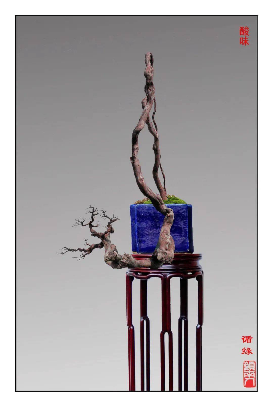 新春贺岁大片韩学年大师最新力作