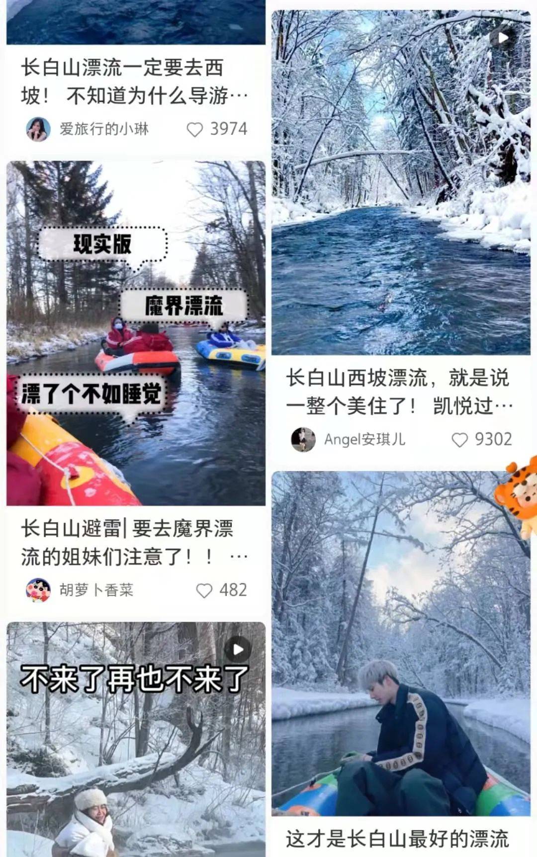 平台|网红长白山，翻车了？