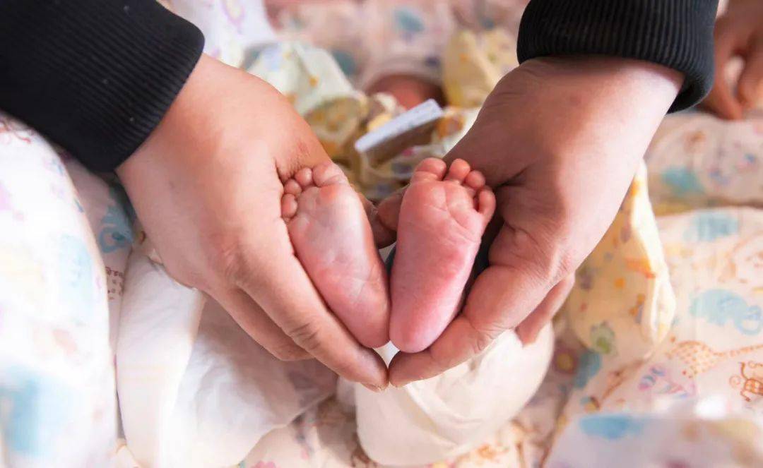 大年初一首只启东小脑斧诞生