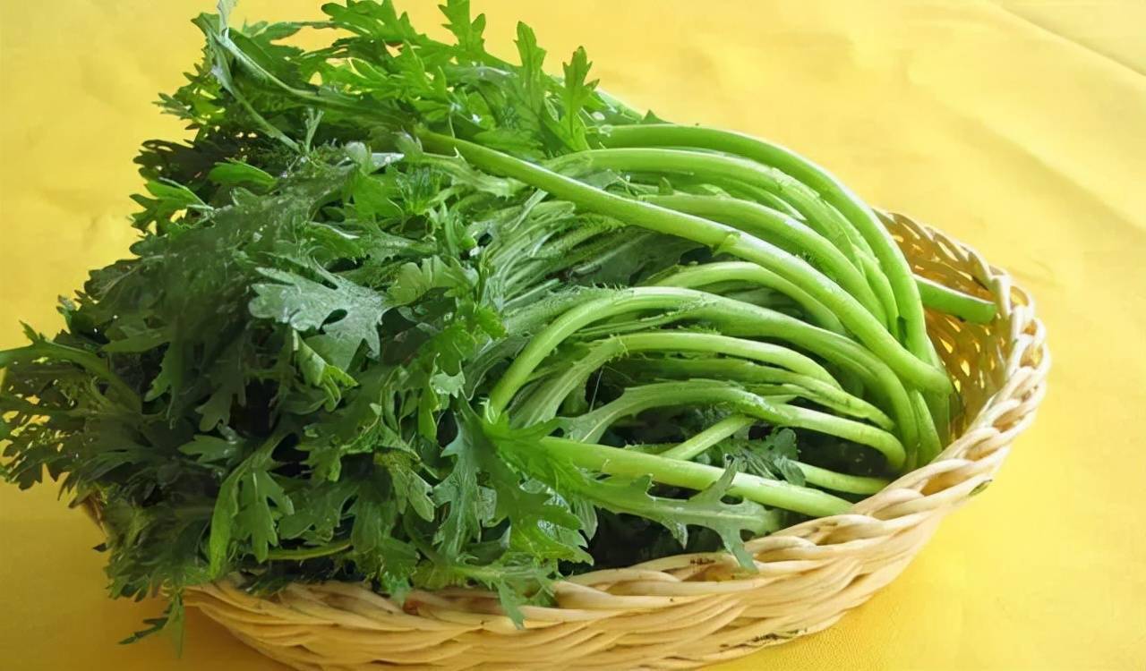 为什么要尽量少吃茼蒿 249e41296b474acdb266b3429838e965.jpeg