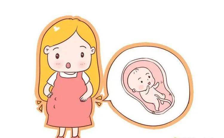 孕妇|准妈妈过春节，切莫忘记“数胎动”