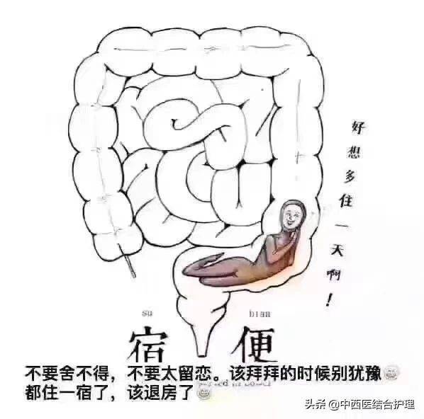 d1464f0065204a43a18cbfea8e815514.jpeg