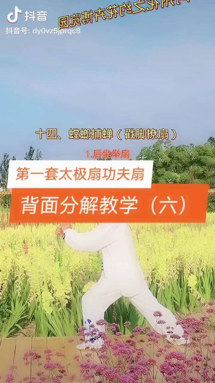 太极功夫扇背面教学图片