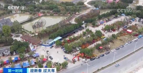 古村|迎新春 过大年 | 广东佛山：坐花船游古村 逛集市品美食 节日气氛浓