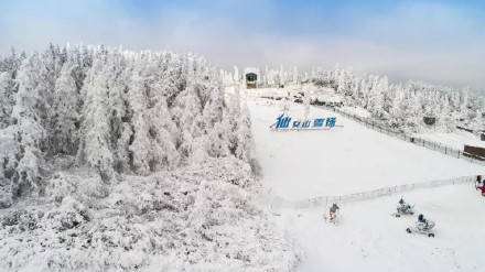 地缝|冬奥逢春！快抓住春节假期“余额”，去武隆仙女山耍雪过新春！