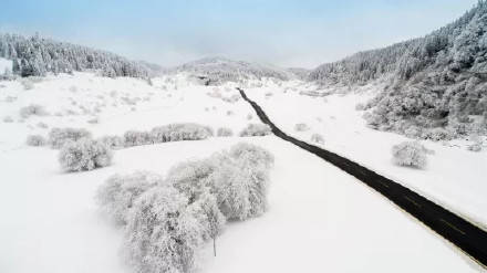 地缝|冬奥逢春！快抓住春节假期“余额”，去武隆仙女山耍雪过新春！