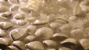 333f4f6eb00147bea59b85cf1b21a375.gif