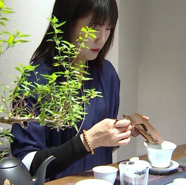 春节见闻 | 细品馨香 交流茶道_市民_文化_书房