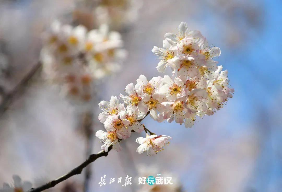 94358b4c31ac406cb23a124f301f4e81.jpeg