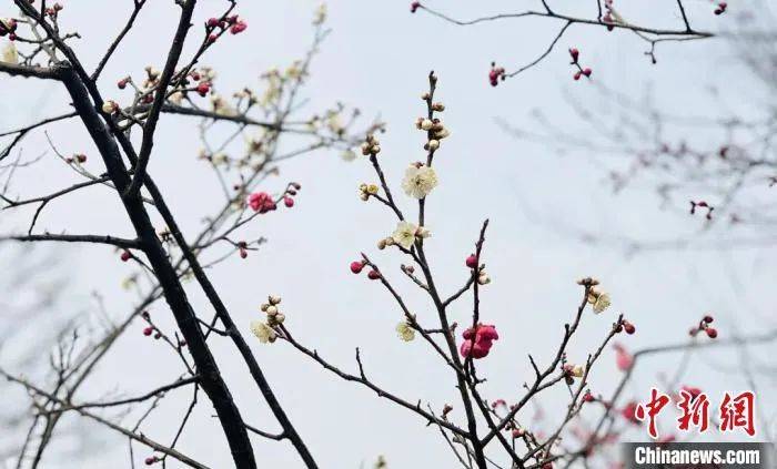 节气|今日立春|不负春光，不负梦想！