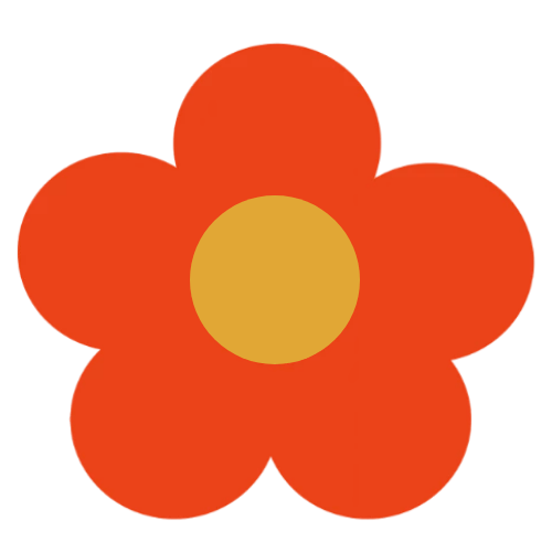 生龙活虎迎新年 劳逸结合过寒假