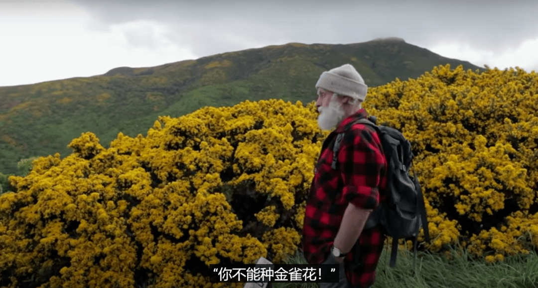 Wilson|76岁老头独居30年，不种一棵树，把荒地变成“国家公园”…