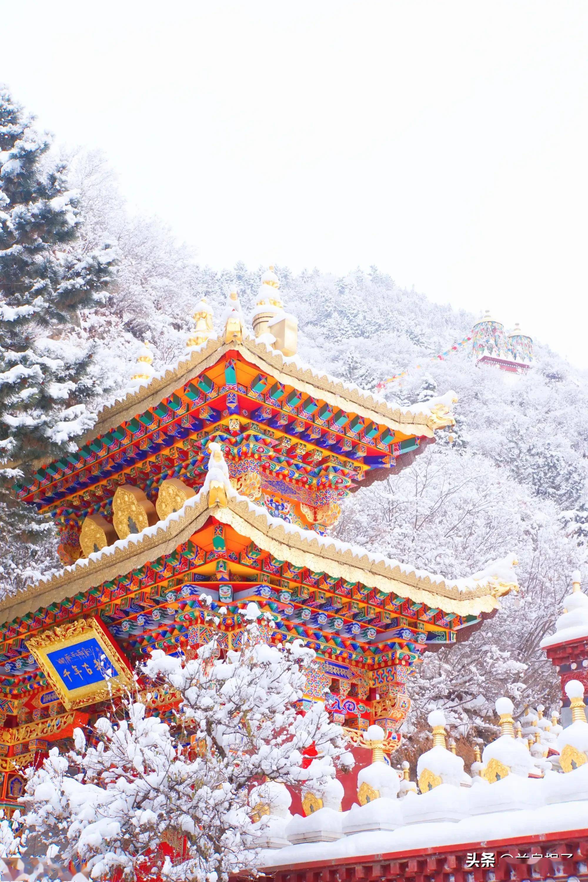 甘肃兰州雪景图片