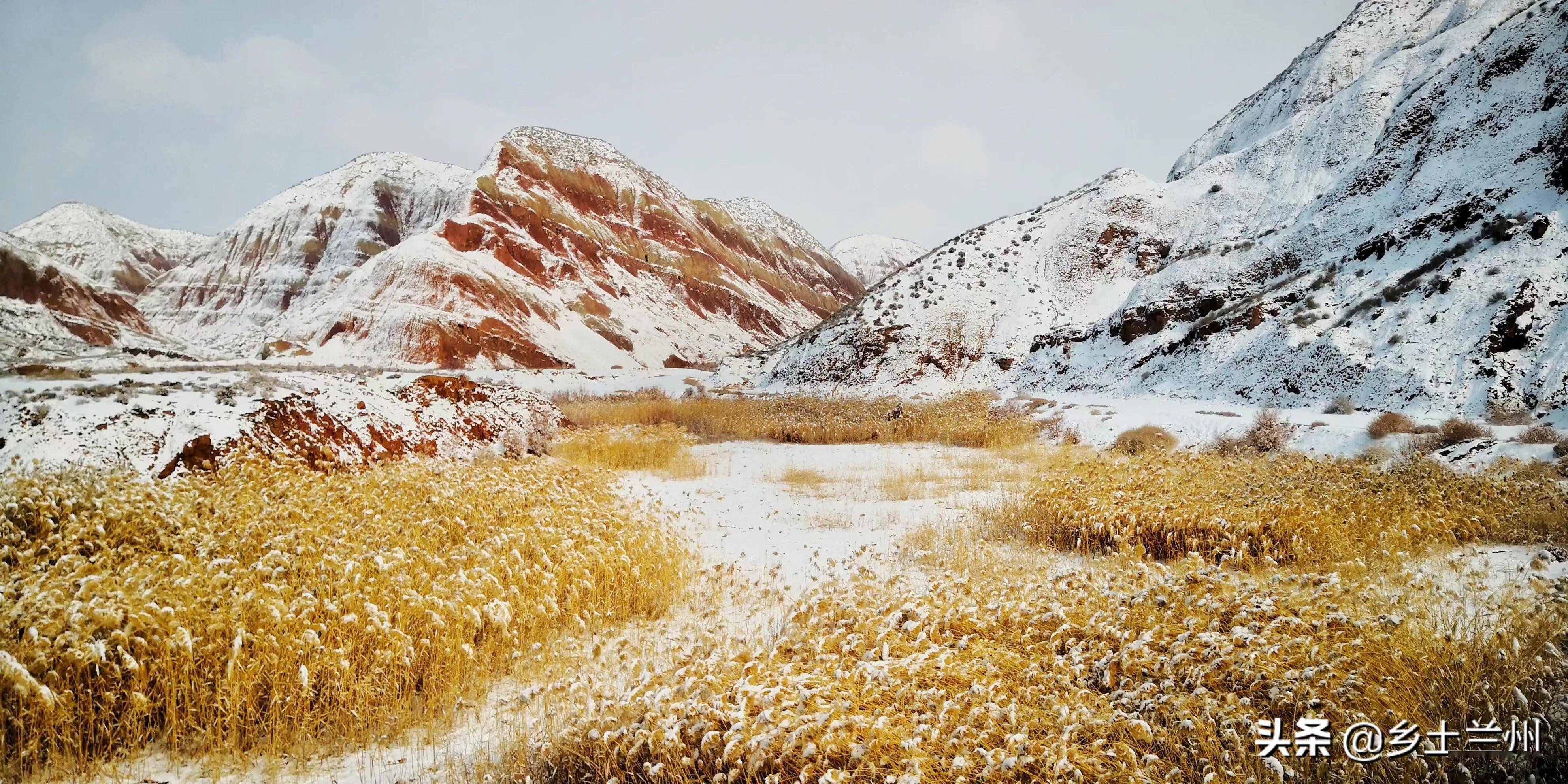 兰州下雪图片真实图片