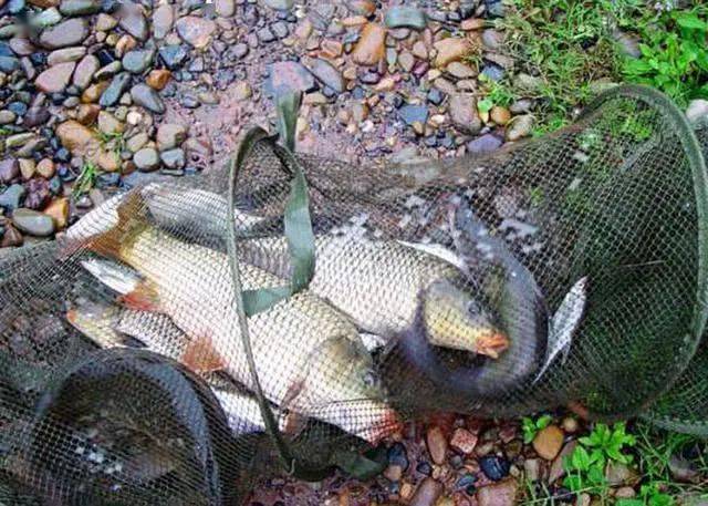 下雨天可以釣魚嗎一年四季各有不同選對時機才能鮮魚滿簍