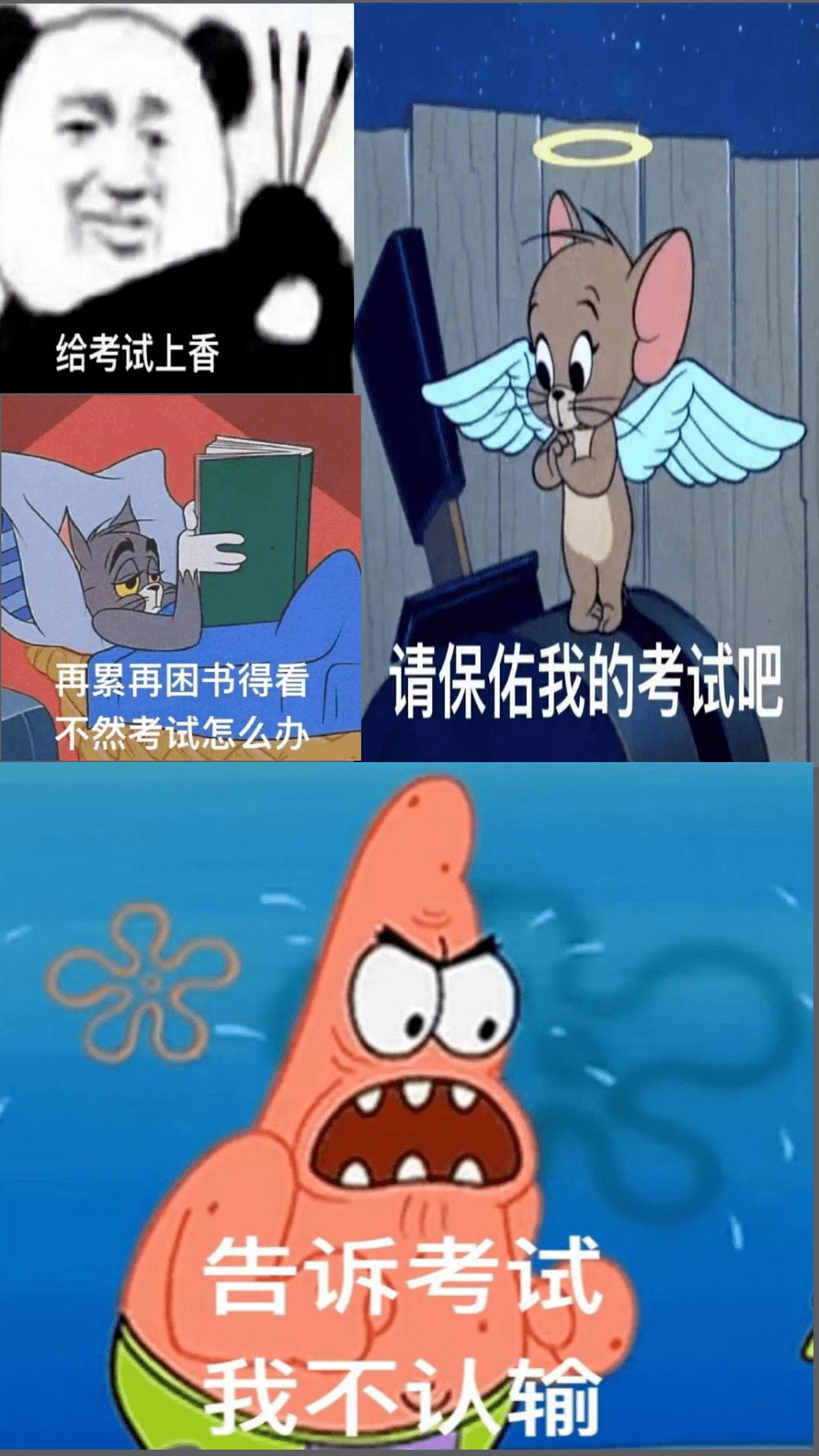 告诉考试 我不认输